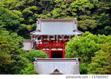 鶴岡八幡宮：鎌倉武士的守護神，與鎌倉幕府第一代將軍源賴朝有關的神社。 137889997