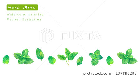 水彩風格的草本植物向量插圖。 水彩風格的草本植物向量插圖。 137890293
