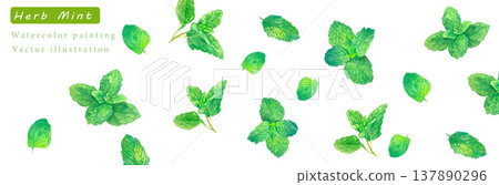 水彩風格的草本植物向量插圖。 水彩風格的草本植物向量插圖。 137890296