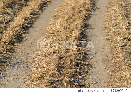 Unpaved road tracks 137890641