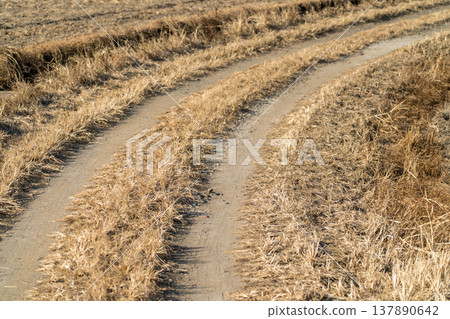 未鋪設路面的道路 137890642