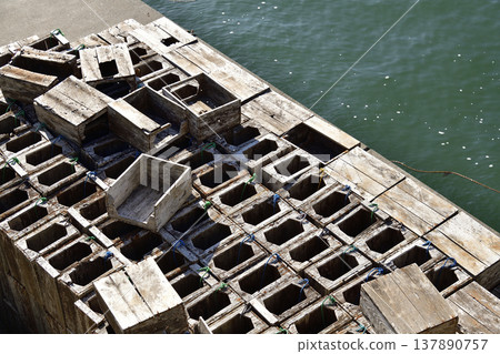 A photograph of octopus boxes drying at Otobe Fishing Port in Yakumo Town, Hokkaido, in spring. 137890757
