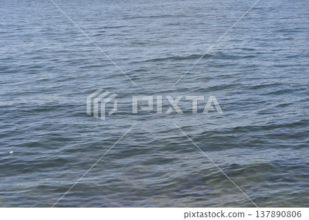 Sea surface 137890806