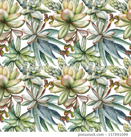Seamless botanical pattern of sansevieria succulents, sedum cluster rosettes, echeveria fleshy leaves. Isolated illustration hand drawn in watercolor. Fabric collections, interior styling, eco product 137891099