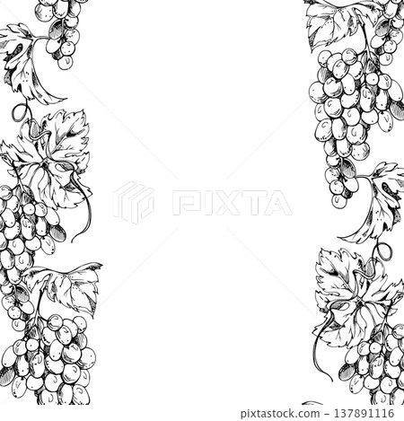 Grape clusters, leaves and spiraling tendril creepers in hand drawn continuous double banner. Seamless ink vector illustration. Restaurant menus, wine events, bottle gift sets and presentation boxes. Grape clusters, leaves and spiraling tendril creepers in hand drawn continuous double banner. Seamless ink vector illustration. Restaurant menus, wine events, bottle gift sets and presentation boxes. 137891116