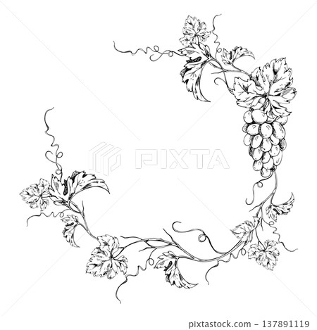 Rustic grapevine wreath frame of twisting tendrils, leaf branches and grape bunches. Ink vector illustration hand drawn for vineyard branding, harvest festival graphics, paper bags and eco packaging. Rustic grapevine wreath frame of twisting tendrils, leaf branches and grape bunches. Ink vector illustration hand drawn for vineyard branding, harvest festival graphics, paper bags and eco packaging. 137891119