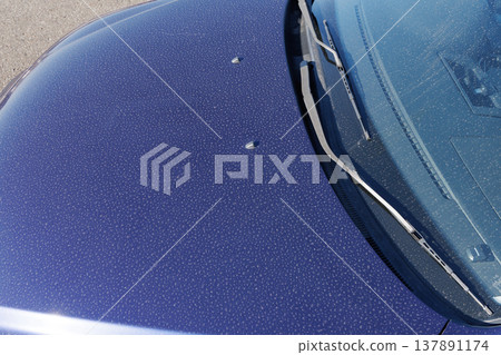 Dirt on the car hood Dirt on the car hood 137891174