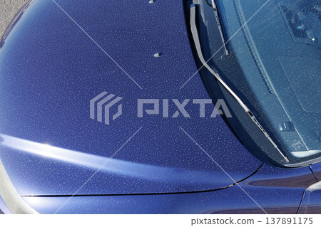 車引擎蓋上有污垢 137891175