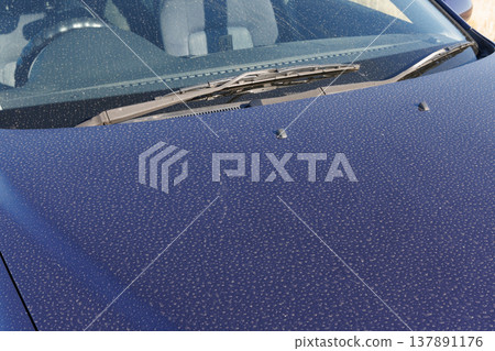 Dirt on the car hood 137891176