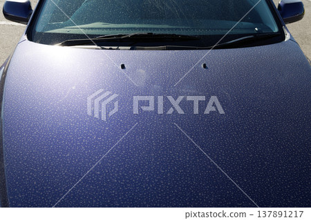 車引擎蓋上有污垢 137891217