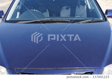 車引擎蓋上有污垢 137891225