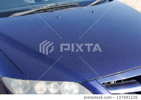 車引擎蓋上有污垢 137891226