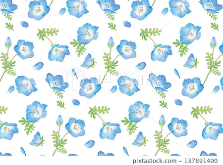 Seamless pattern of blue nemophila 137891400