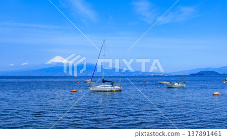 Yachts floating on Suruga Bay Yachts floating on Suruga Bay 137891461
