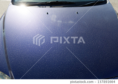 車引擎蓋上有污垢 137891664