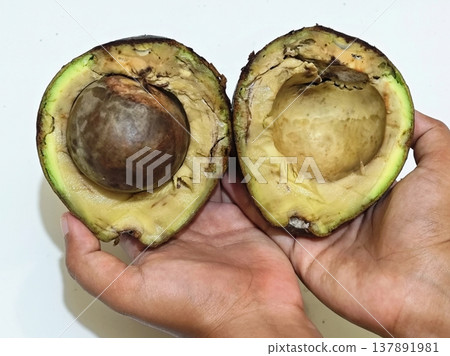 Overripe avocado cut open held by hands against white background Overripe avocado cut open held by hands against white background 137891981