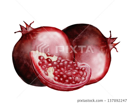 Pomegranate fruit watercolor composition. Realistic botanical illustration on a white background. Perfect for packaging design, organic cosmetics, invitations, and wellness branding. Handmade. Pomegranate fruit watercolor composition. Realistic botanical illustration on a white background. Perfect for packaging design, organic cosmetics, invitations, and wellness branding. Handmade. 137892247