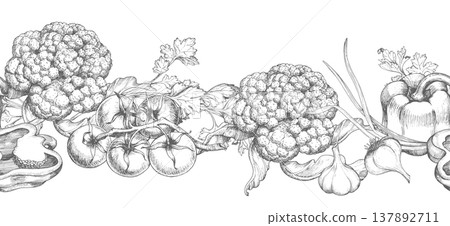 Seamless border of the garlic, bell peppers, tomatoes, green onion and cauliflower. Vector ink styled illustration. For packaging design, cards, cover, prints, product labels and fabric. Seamless border of the garlic, bell peppers, tomatoes, green onion and cauliflower. Vector ink styled illustration. For packaging design, cards, cover, prints, product labels and fabric. 137892711