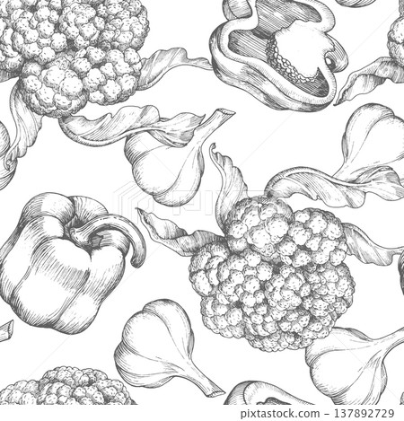Seamless pattern of the cauliflower, garlic and bell pepper. Vector ink styled illustration. For packaging design, cards, cover, prints, product labels and fabric. Seamless pattern of the cauliflower, garlic and bell pepper. Vector ink styled illustration. For packaging design, cards, cover, prints, product labels and fabric. 137892729
