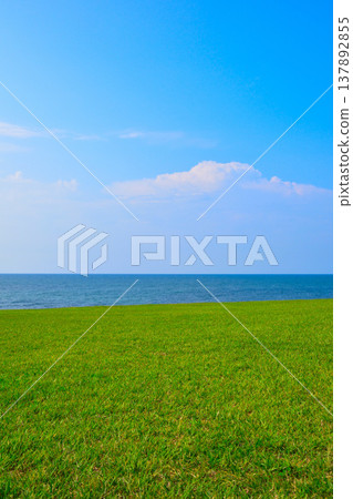 grassland sea sky grassland sea sky 137892855