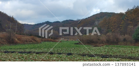 Saejae Bicycle Path Saejae Bicycle Path 137893141