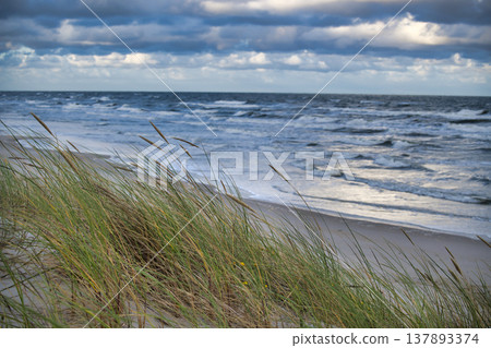 Windblown Dune Grass on Sandy Beach With Waves and Stormy Sky Over Ocean Coastline 137893374
