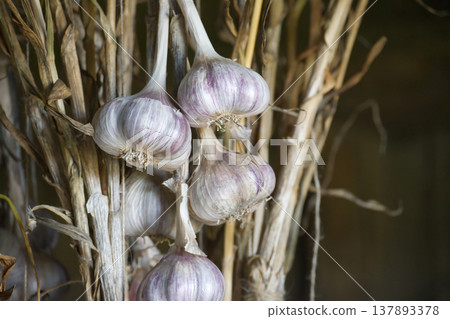 A bunch of fresh garlic bulbs, perfect for adding flavor to any dish. A bunch of fresh garlic bulbs, perfect for adding flavor to any dish. 137893378