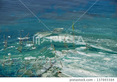 Scene water pollution revealing an ecological disaster caused by wastewater and harmful substances Scene water pollution revealing an ecological disaster caused by wastewater and harmful substances 137893384