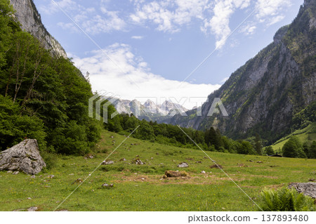 Picturesque view of lake Obersee, lake Konigssee, in the Berchtesgaden Alps, Bavaria, Germany Picturesque view of lake Obersee, lake Konigssee, in the Berchtesgaden Alps, Bavaria, Germany 137893480