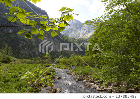 Picturesque view of lake Obersee, lake Konigssee, in the Berchtesgaden Alps, Bavaria, Germany Picturesque view of lake Obersee, lake Konigssee, in the Berchtesgaden Alps, Bavaria, Germany 137893482