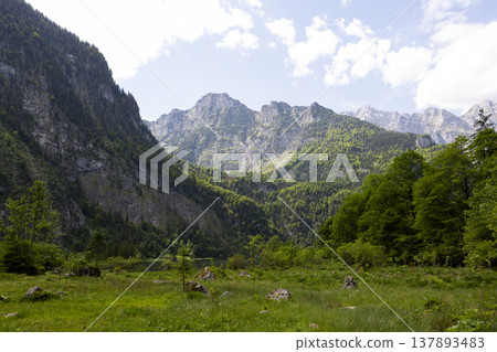 Picturesque view of lake Obersee, lake Konigssee, in the Berchtesgaden Alps, Bavaria, Germany Picturesque view of lake Obersee, lake Konigssee, in the Berchtesgaden Alps, Bavaria, Germany 137893483