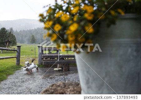 Krottenkopf mountain tour, Bavaria, Germany 137893493
