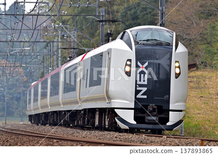 總武本線，四街 - 莫諾伊，JR東日本，E259系，NE015組（鎌倉），成田特快（NEX） 137893865