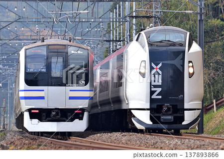 總武本線,四海道 - 莫諾伊,JR東日本,E259系 NE017編組(鎌倉),E217系 Y-31編組 總武本線,四海道 - 莫諾伊,JR東日本,E259系 NE017編組(鎌倉),E217系 Y-31編組 137893866
