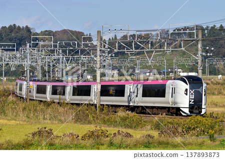 總武本線櫻花物之JR東E259系列Ne016編隊(鎌倉)成田特快NEX 總武本線櫻花物之JR東E259系列Ne016編隊(鎌倉)成田特快NEX 137893873