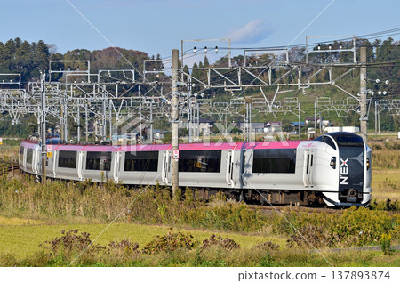 總武本線、櫻之物、JR東日本、E259系、NE007編組（鎌倉）、成田特快NEX 137893874