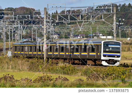 總武本線,櫻-莫諾伊,JR東日本,209系,C401編組(幕張) 總武本線,櫻-莫諾伊,JR東日本,209系,C401編組(幕張) 137893875
