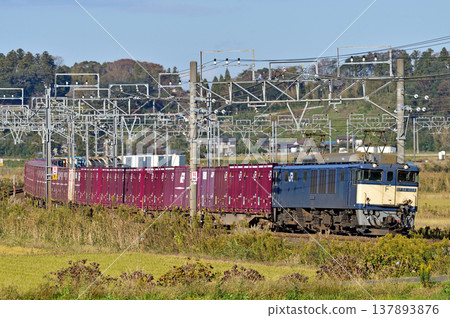 總武本線,櫻-莫諾伊,JR貨運,EF64-1028(愛知) 總武本線,櫻-莫諾伊,JR貨運,EF64-1028(愛知) 137893876