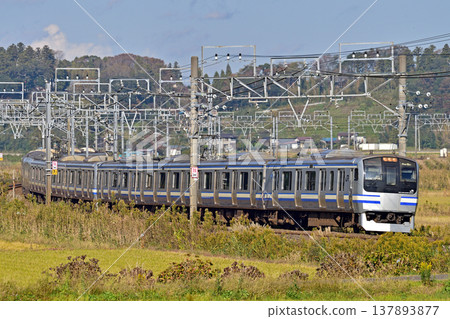 總武本線,櫻花-莫諾伊,JR東日本,E217系,Y-145編組(鎌倉) 總武本線,櫻花-莫諾伊,JR東日本,E217系,Y-145編組(鎌倉) 137893877