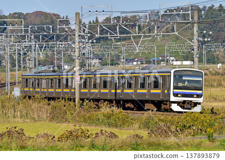總武本線、櫻花物井、JR東日本、209系、C406編組(幕張) 總武本線、櫻花物井、JR東日本、209系、C406編組(幕張) 137893879