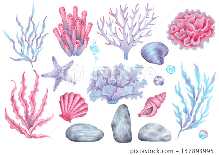 Set of marine elements shells, starfish, corals, seaweed, stones and bubbles. Hand drawn watercolor illustration. Underwater world of the seabed. Clipart for childrens design, tourism and travel Set of marine elements shells, starfish, corals, seaweed, stones and bubbles. Hand drawn watercolor illustration. Underwater world of the seabed. Clipart for childrens design, tourism and travel 137893995