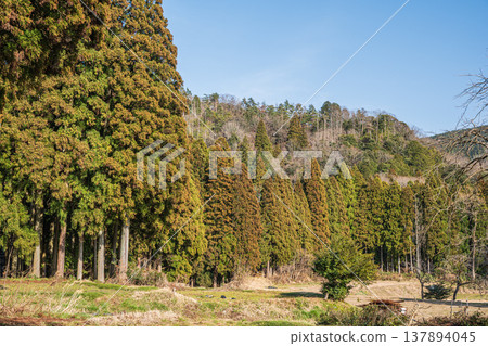 滋賀郡長濱市西淺井町琵琶湖北部的鄉村景觀 滋賀郡長濱市西淺井町琵琶湖北部的鄉村景觀 137894045
