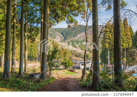 Rural landscape of the northern part of Lake Biwa, Nishi-Asai-cho, Nagahama City, Shiga Prefecture Rural landscape of the northern part of Lake Biwa, Nishi-Asai-cho, Nagahama City, Shiga Prefecture 137894047