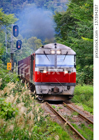 DF200 柴油機車在廣闊的北方土地上發揮著至關重要的作用…它透過貨櫃貨運列車為北海道的物流提供支援。 DF200 柴油機車在廣闊的北方土地上發揮著至關重要的作用…它透過貨櫃貨運列車為北海道的物流提供支援。 137894207