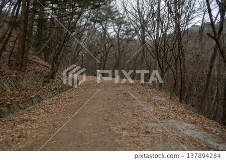 Mungyeongsaejae Mungyeongsaejae 137894284