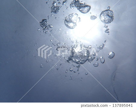 Let nature take its course underwater. Let nature take its course underwater. 137895041