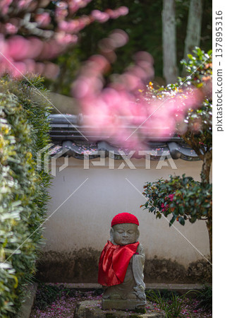 寺廟庭院裡梅花盛開,地藏菩薩像守護著這裡。 寺廟庭院裡梅花盛開,地藏菩薩像守護著這裡。 137895316