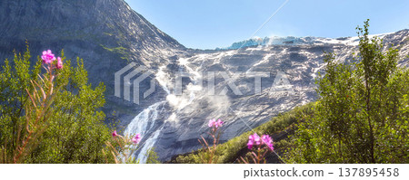 Pink wildflowers, glacier and waterfalls, Norway 137895458