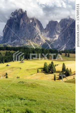 Sassolungo mountain Val Gardena, Dolomites, Italy 137895531