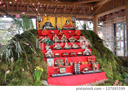 Spring scenery / Beautiful Hina dolls 137895599